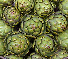 Fototapeta premium green fresh Artishoke an the market