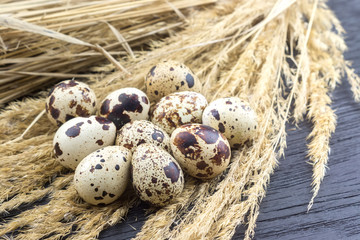 Quail eggs and dry grass on a gray wooden table