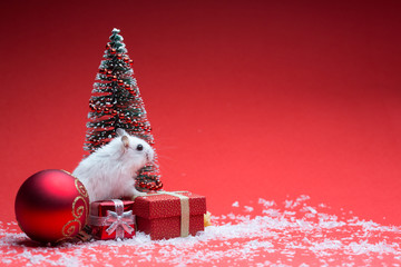 Cute hamster on red background with christmas tree and gifts and snow