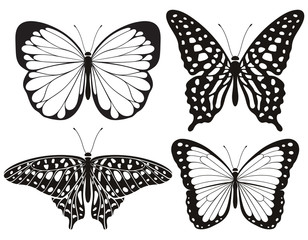 Obraz na płótnie Canvas Butterfly silhouette icons set. Vector Illustrations.