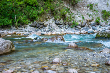 river in the forest