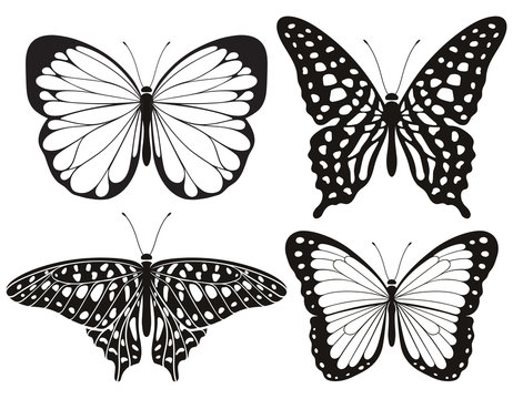 Butterfly silhouette icons set. Vector Illustrations.