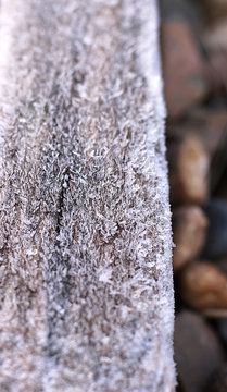 Frosted Weathered Wood And Stone Texture. Background