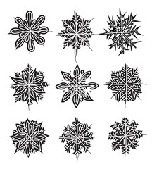 Snowflakes. Set of vector images. Hand drawing by brush.