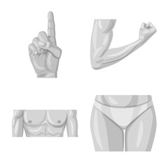 Isolated object of human and part sign. Collection of human and woman vector icon for stock.
