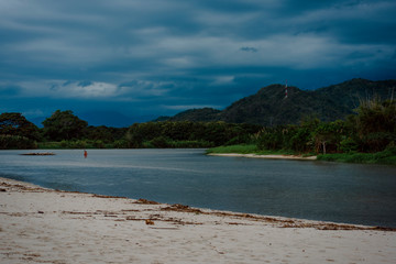 Palomino - La Guajira
