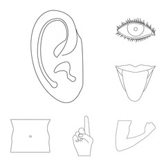 Isolated object of human and part icon. Set of human and woman stock vector illustration.