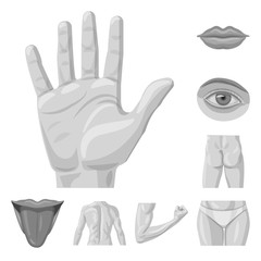 Vector design of human and part sign. Collection of human and woman vector icon for stock.