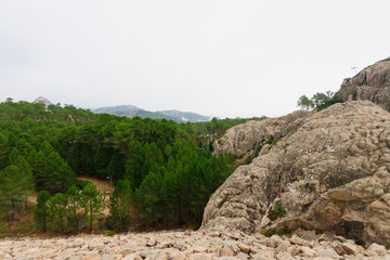 Fototapeta na wymiar Cascade de Piscia di Ghjaddu
