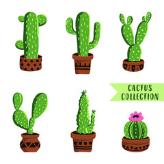 Set of 6 cacti. Collection of hand drawn cactus in pots isolated in white background. Vector illustration