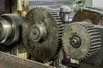 Large gears in oil on an industrial machine