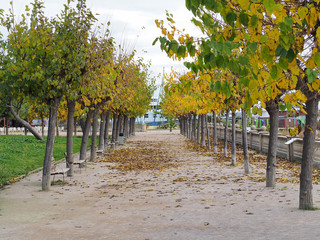 Paseo marítimo en otoño