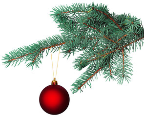 christmas ball on fir branch isolated on white background