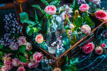Flower collection, roses, and gypsophila in vintage glass bottles in a suitcase. Botany and perfume header on a dark background with copy space.