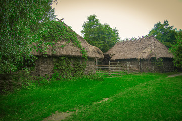 Fototapeta premium old houses in the forest
