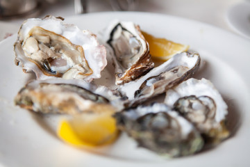 Tasty fresh shucked oysters on plate. Raw oysters are packed with nutrition, high in calcium, potassium, magnesium, vitamin and mineral. Flavor are sweet and refreshing. Believed to be an aphrodisiac.