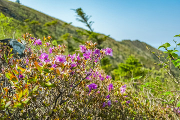 설악산 등산 트래킹 풍경 정상