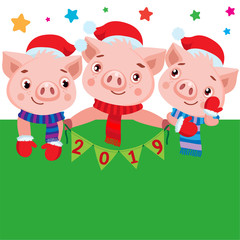 2019 Happy New Year Banner. Cute Pig In Winter Scarf With Numbers. Greeting Illustration. Symbol Of Winter Holidays Celebration Card.