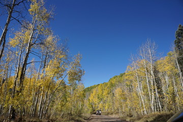 Fototapeta premium autumn in the mountains