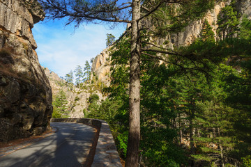 Restonica Gorge