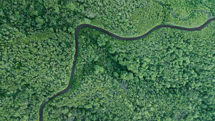 Winding path top view shot from the drone. Madeira island, Portugal.