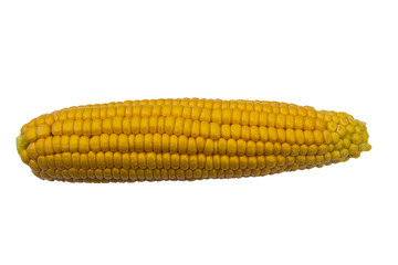 Delicious, juicy and sweet corn. Top view