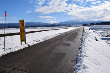 Obraz premium 北国の道路