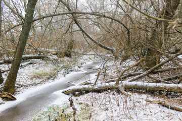 Stream in winter forest