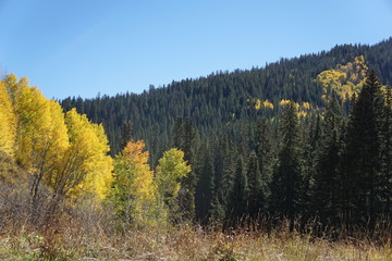 Fototapeta premium autumn in the mountains