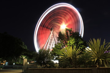 Brisbane wheel in motion