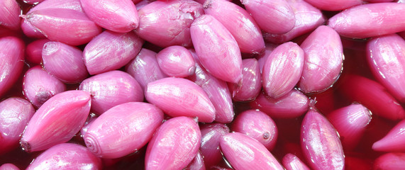 sweet red onions called Cipolla of Tropea in Italian Language