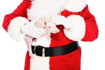 cropped shot of santa claus holding little pig and petting her isolated on white © LIGHTFIELD STUDIOS