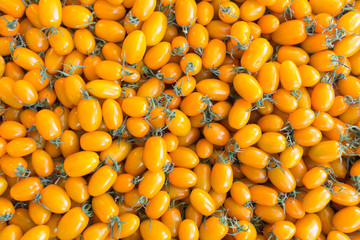 A pile of small yellow tomatoes. Tray market agriculture farm full of organic tomatoes. Fresh tomatoes.