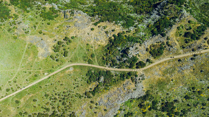 Aerial view of footpath in forest. 
