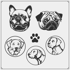 Set of dogs portraits. French Bulldog, Pug and Golden Retriever. Cute friendly pets characters. Emblems for Pets Shop. Print design for t-shirts.