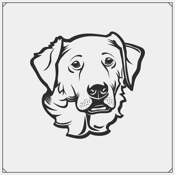 Cute friendly Golden Retriever portrait. Emblem for Pets Shop. Print design for t-shirts.