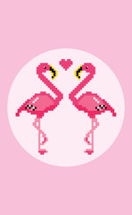 In love with flamingos