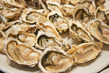 Tasty fresh oysters close-up on ice. Raw oysters are packed with nutrition, high in calcium, potassium, magnesium, vitamin and mineral. Flavor are sweet and refreshing. Believed to be an aphrodisiac.