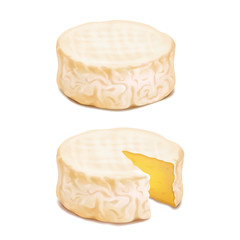 Camembert or brie cheese block. Realistic vector icon illustration - obrazy, fototapety, plakaty