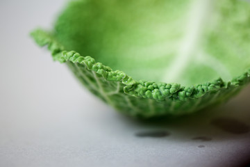 cabbage leaf