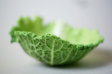 cabbage leaf