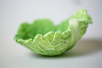 cabbage leaf
