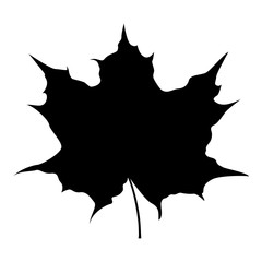 Maple leaf silhouette icon black color illustration