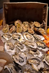 Tasty fresh oysters close-up on ice. Raw oysters are packed with nutrition, high in calcium, potassium, magnesium, vitamin and mineral. Flavor are sweet and refreshing. Believed to be an aphrodisiac.