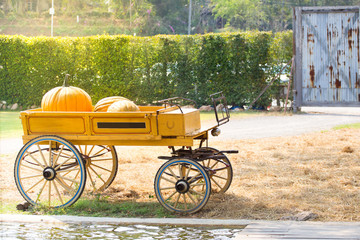 pumkins in vintage wagon © shutterstudio