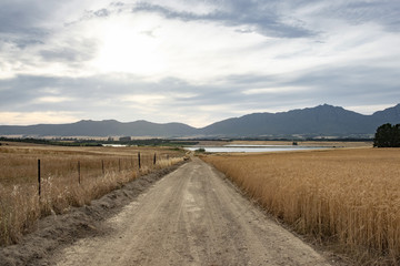 Fototapeta premium Sand Road