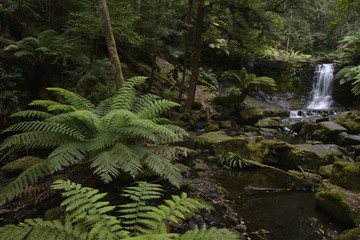Horseshoefalls Mount Field Tasmania