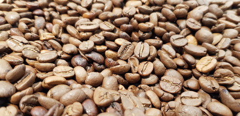 Coffee Beans