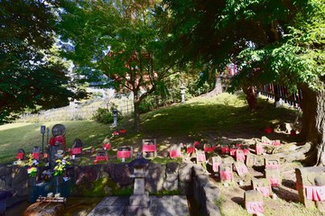 日本の奈良の紅葉