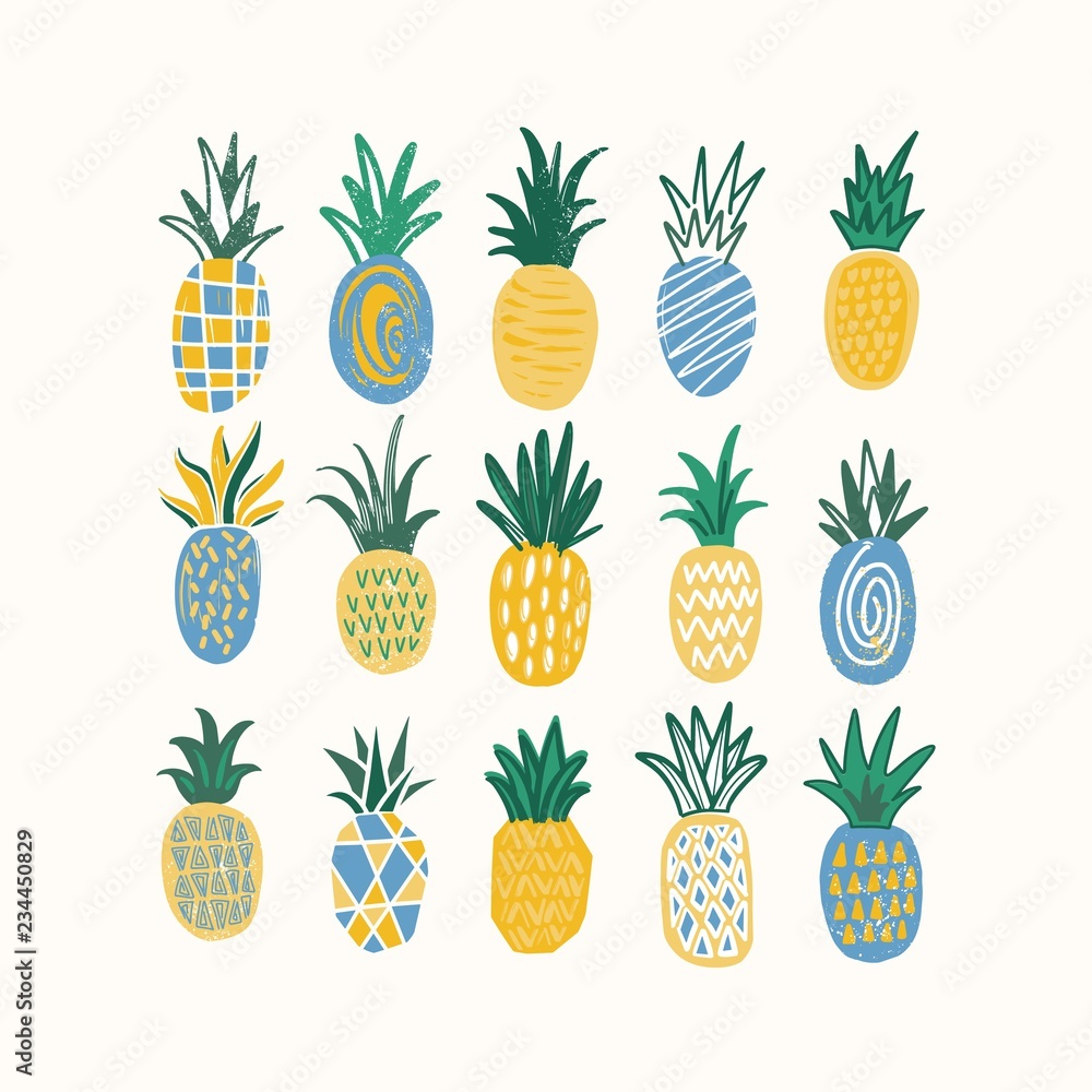 Poster set of stylized pineapples of various texture isolated on white background. bundle of tropical fresh